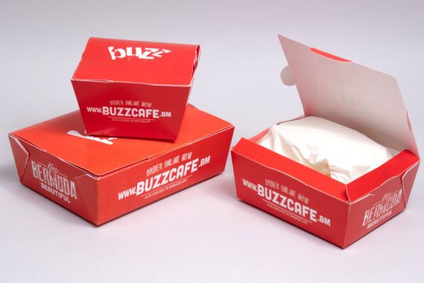 Takeout Packaging Manufacturer